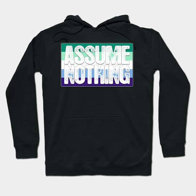 Assume Nothing Gay Male Pride Flag Hoodie by wheedesign